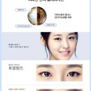 그랑프리안경콘택트 이미지