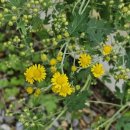 운심농장 이미지