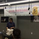 해피펫살롱 | 비숑프리제 겨울 170623: 펫프렌 스터디 다녀왔어요