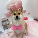 덕배쌀롱