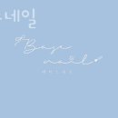 베이스네일 네이버블로그