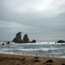 추암농장 이미지