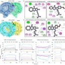 제4회 문화도전 콘서트 이미지