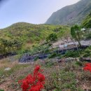 상수리숲농장 이미지