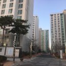 영천망정우방아파트 앞