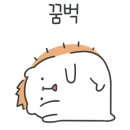 서울돼지불백쌈메밀막국수
