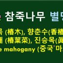 참죽나무/가중나무 위력 이미지