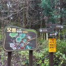 하늘오름펜션 | 제주도 사진 찍기 좋은 곳｜삼다수 숲길·궷물오름 셀프 웨딩 촬영 후기