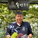 송산포도로 이미지