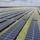 신화 태양광발전소 이미지