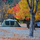 은석캠핑장 이미지