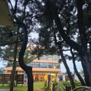 헬로피스 이미지