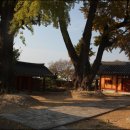 영광향교 이미지