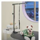 몽슈 펫그루밍샵 | [인천 논현동 애견미용 추천] 바바라 펫그루밍샵: 리뷰 1위가 증명하는 스트레스 제로 가위컷