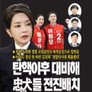 이재명 암살 미수 신천지 연루설 이미지