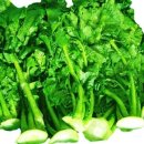 연세항맥병원 이미지