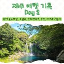 한림유치원 | 제주 여행 Day2(남서부) - 환상숲곶자왈, 오설록, 천제연폭포, 중문, 대포 주상절리