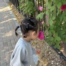 꽃보다의료기