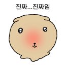 브리에 에스테틱