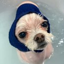 희동이의 하루 이미지