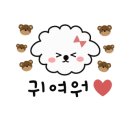 페츠베리머치 카페 이미지