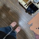 존예뷰티 이미지