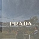 타이어프리미엄아울렛 | 파주 롯데프리미엄아울렛 미우미우 스니커즈 구매 후기, 미우미우 타이어 스니커즈 가격정보