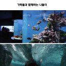 나비공간 이미지