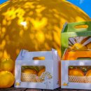 과일나라 앞 이미지