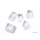 아리랑과학 이미지