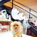 청주지웰동물병원 이미지