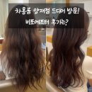 양재빌딩 | 차홍룸 양재점 드디어 방문! 비포에프터 후기는?