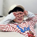 도도키즈풀빌라 | 가평 꼬모키즈풀빌라 후기