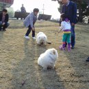 개스타하우스 이미지