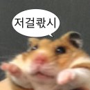 명동칼국수 샤브샤브 이미지