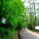 만인산자연휴양림 이미지