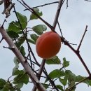 세븐일레븐(창원외동점) 이미지