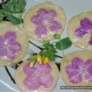 순이네집 이미지