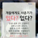 올어바웃펫 이미지