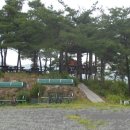 강변의 숲속 이미지