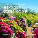 연안여객선터미널 | 쑥섬 여수연안여객선터미널로 뚜벅이여행 떠나기