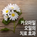 대한오일 네이버블로그