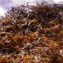 신지운 카카오 검색결과