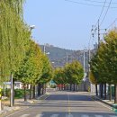 신반주유소 네이버블로그
