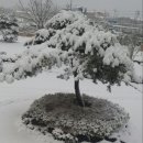 일등요양병원 이미지