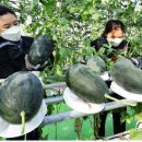 서형호농장 이미지