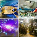 안산 하늬울공원 어린이놀이터 | 산책 - 서대문자연사박물관 &amp; 안산황톳길