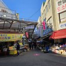 강릉사랑로컬푸드 | 1박2일 강원도여행_강릉중앙시장 강릉떡집 밤송편...맛집 백년가게 동화가든, 양양로컬푸드마켓 매일아홉시