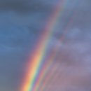 마루돼지국밥 이미지