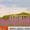 낭만라운지 이미지